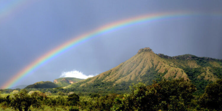 Naturatins Destaca Potencial Sustentável do Cerrado Tocantinense na APA Serra do Lajeado