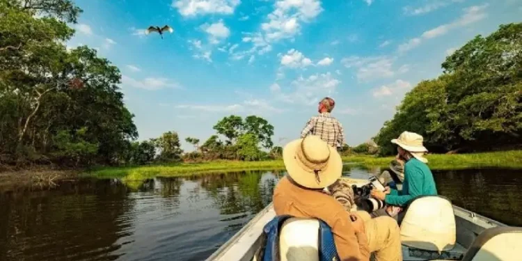 Atividades relacionadas ao meio ambiente já respondem por 60% do faturamento do turismo no Brasil