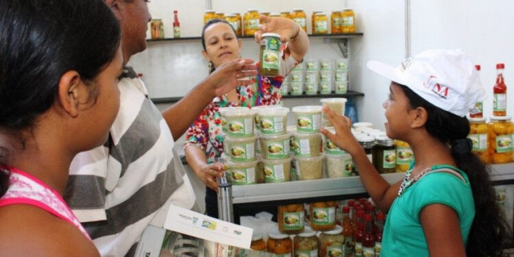 Governo do Tocantins promove exposição de produtos do Cerrado na Agrotins 2024