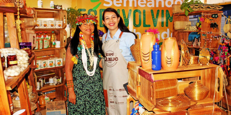 Governo do Tocantins integra Comitê Nacional para a Promoção da Cultura Exportadora