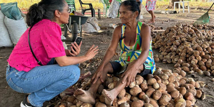 Projeto tem o intuito de destacar a força e o protagonismo da mulher do campo, com foco nas quebradeiras de coco babaçu da região do Bico do Papagaio, no norte do estado - Foto: Divulgação