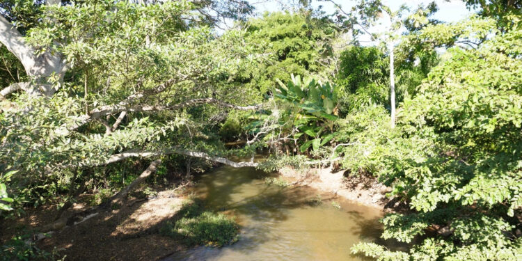 Documentário sobre o Pouso do Meio, financiado pela Lei Paulo Gustavo, é apresentado durante Semana Cultural da UnirG