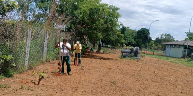 O projeto tem como foco atender às demandas alimentares dos animais do Centro de Fauna do Tocantins - Foto: Naturatins/Governo do Tocantins