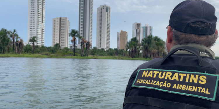 Preservação da fauna, fiscalizações e projetos de educação ambiental avançam no Tocantins