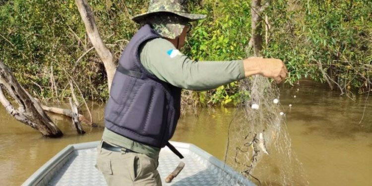 Ação resultou na apreensão de aproximadamente 2 mil metros de redes de emalhar - Foto: Naturatins/Governo do Tocantins