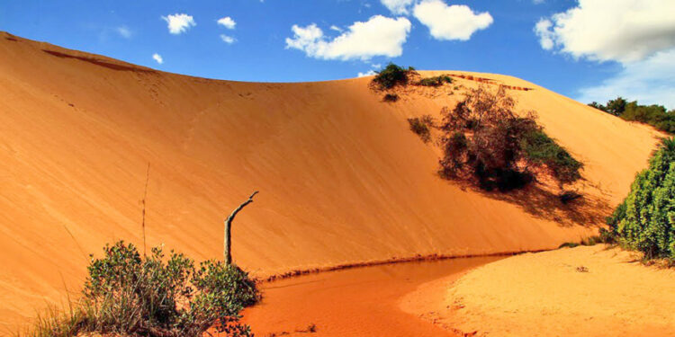 Parque é administrado pelo Governo do Estado, por meio do Instituto Natureza do Tocantins (Naturatins) - Foto: Márcio Vieira/Governo do Tocantins
