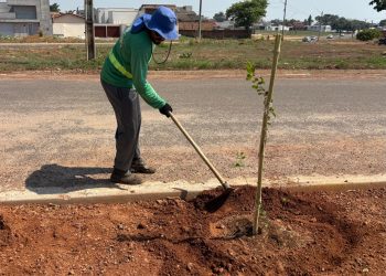 Prefeitura de Gurupi intensifica arborização urbana com o plantio de 450 mudas de Resedá