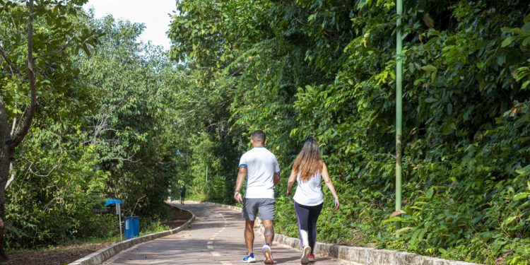 Parque Cesamar fecha de segunda, 8, a quarta, 10, para finalização da decoração natalina