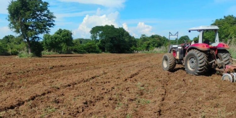 Prefeitura de Gurupi intensifica apoio aos agricultores familiares com maquinários, insumos e assistência técnica