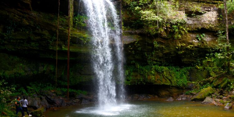 No Dia do Turismo Ecológico, Palmas reforça vocação para experiências em meio à natureza