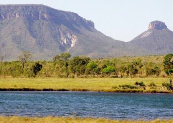 Naturatins completa 37 anos e avança com modernização na preservação e no desenvolvimento sustentável