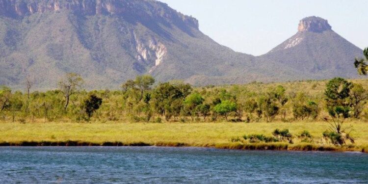 Naturatins completa 37 anos e avança com modernização na preservação e no desenvolvimento sustentável