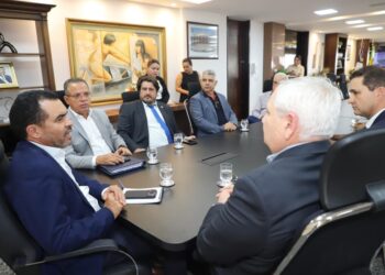 Deputado Eduardo Fortes articula com governador e setor frigorífico avanços para industrialização do Tocantins
