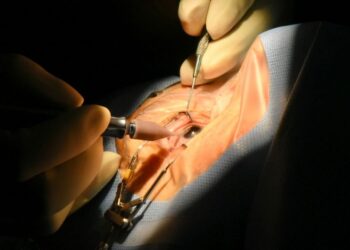 Quase 1.200 atendimentos no primeiro Vem Ver Gurupi de 2026